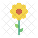 پیش‌نمایش فایل sunflower-1556834 از پک عید پاک