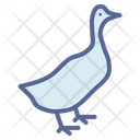 پیش‌نمایش فایل duck-1596391 از پک کشاورزی