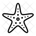 پیش‌نمایش فایل starfish-1599666 از پک ساحل