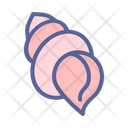 پیش‌نمایش فایل seashell-1599830 از پک ساحل