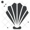 پیش‌نمایش فایل shell-1603462 از پک ساحل