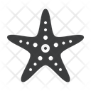پیش‌نمایش فایل starfish-1603460 از پک ساحل