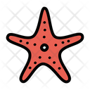 پیش‌نمایش فایل starfish-1607753 از پک مجموعه دودل ساحل