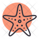 پیش‌نمایش فایل starfish-1607968 از پک ساحل