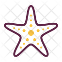 پیش‌نمایش فایل starfish-1608014 از پک ساحل