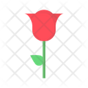 پیش‌نمایش فایل rose-1609092 از پک روز مادر