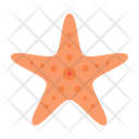 پیش‌نمایش فایل starfish-1619756 از پک ساحل