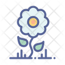 پیش‌نمایش فایل sunflower-1714227 از پک کمپینگ