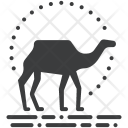 پیش‌نمایش فایل camel-2 از پک ماجراجویی کمپینگ