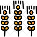 پیش‌نمایش فایل wheat-1782867 از پک اکتبرفست