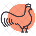 پیش‌نمایش فایل cock-2 از پک کشاورزی و باغبانی