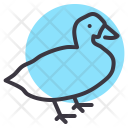 پیش‌نمایش فایل goose-3 از پک کشاورزی و باغبانی