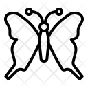 پیش‌نمایش فایل butterfly-27 از پک بهار