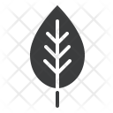 پیش‌نمایش فایل leaf-24 از پک بهار