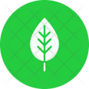 پیش‌نمایش فایل leaf-26 از پک بهار