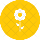 پیش‌نمایش فایل sunflower-10 از پک بهار