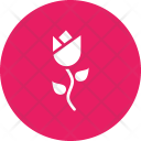 پیش‌نمایش فایل tulip-10 از پک بهار