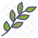 پیش‌نمایش فایل branch-25 از پک بهار