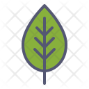 پیش‌نمایش فایل leaf-27 از پک بهار