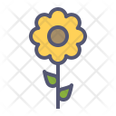 پیش‌نمایش فایل sunflower-12 از پک بهار