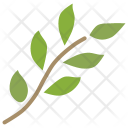 پیش‌نمایش فایل branch-26 از پک بهار