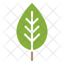 پیش‌نمایش فایل leaf-28 از پک بهار