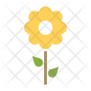 پیش‌نمایش فایل sunflower-14 از پک بهار