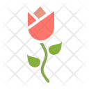 پیش‌نمایش فایل tulip-12 از پک بهار