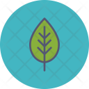 پیش‌نمایش فایل leaf-29 از پک بهار