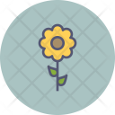 پیش‌نمایش فایل sunflower-16 از پک بهار