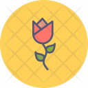 پیش‌نمایش فایل tulip-13 از پک بهار