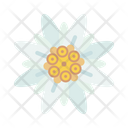 پیش‌نمایش فایل edelweiss-1794359 از پک اکتبرفست