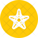 پیش‌نمایش فایل star-97 از پک تابستان