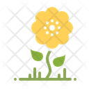 پیش‌نمایش فایل sunflower-22 از پک تابستان