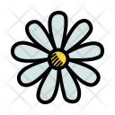 پیش‌نمایش فایل chamomile-20 از پک مجموعه دودل بهار