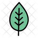 پیش‌نمایش فایل leaf-30 از پک مجموعه دودل بهار