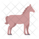 پیش‌نمایش فایل horse-1830134 از پک سواری اسب