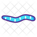 پیش‌نمایش فایل worm-14 از پک بهار