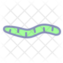 پیش‌نمایش فایل worm-15 از پک بهار
