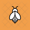 پیش‌نمایش فایل honey-30 از پک Spring 