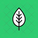 پیش‌نمایش فایل leaf-34 از پک Spring 