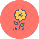 پیش‌نمایش فایل sunflower-34 از پک تابستان