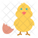 پیش‌نمایش فایل chicken-152 از پک بهار