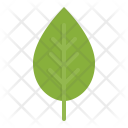 پیش‌نمایش فایل leaf-36 از پک بهار