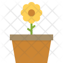 پیش‌نمایش فایل sunflower-43 از پک بهار