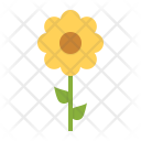 پیش‌نمایش فایل sunflower-44 از پک بهار