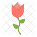 پیش‌نمایش فایل tulip-19 از پک بهار