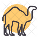 پیش‌نمایش فایل camel-10 از پک رمضان