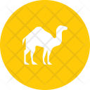 پیش‌نمایش فایل camel-12 از پک رمضان