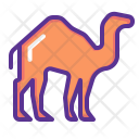 پیش‌نمایش فایل camel-15 از پک رمضان